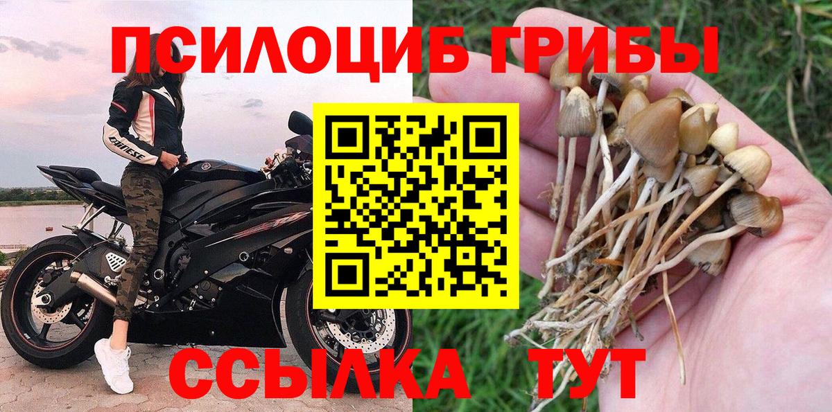 Галлюциногенные грибы Psilocybine cubensis  Вход с VPN  Галлюциногенные грибы ЛСД  Муром 